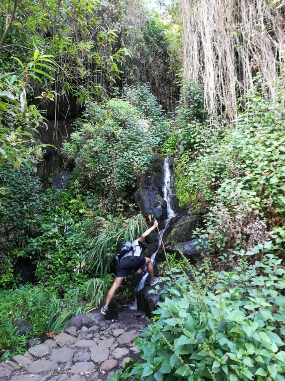 Agulo Casa Rural Finca La Maleza מראה חיצוני תמונה